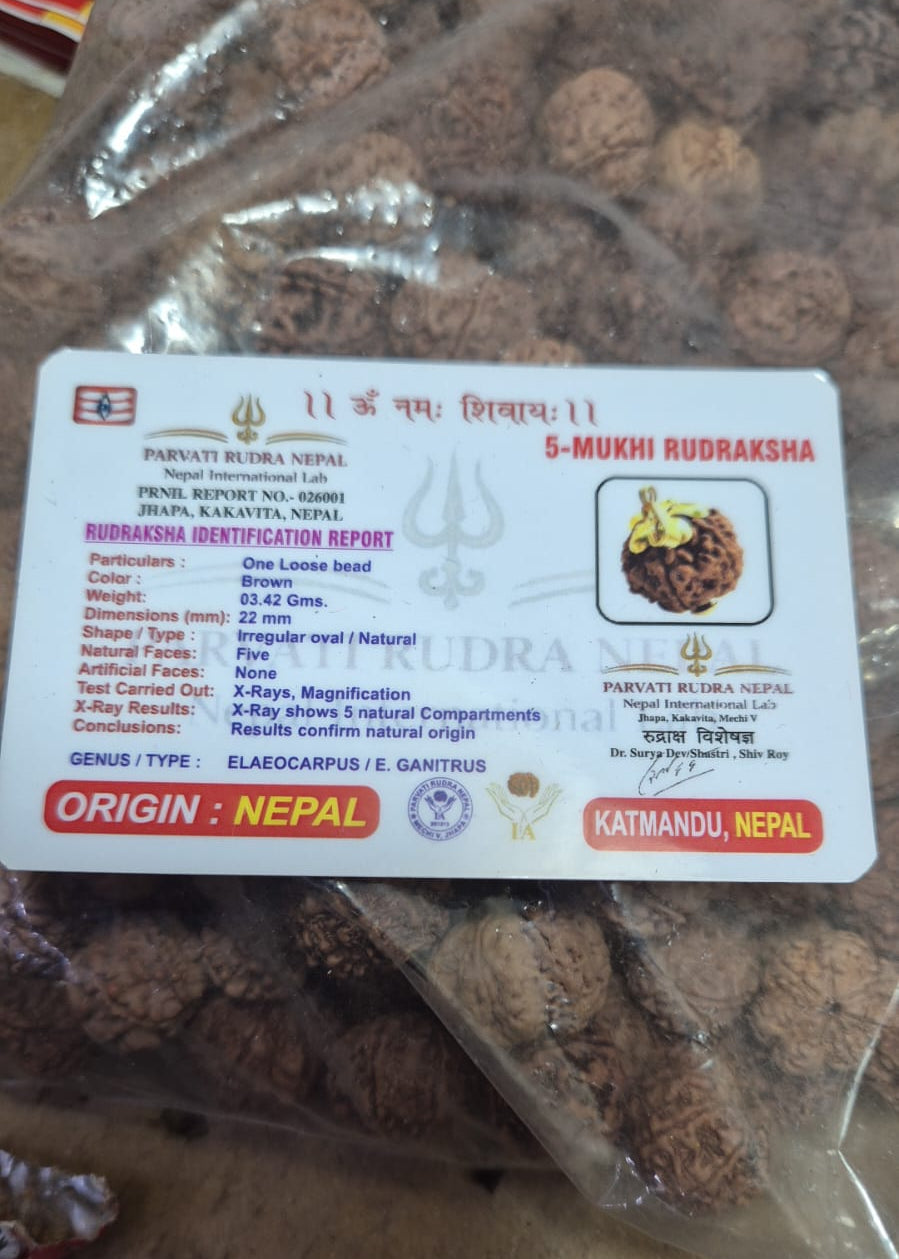 Rudraksha Mala (5 mukhi)